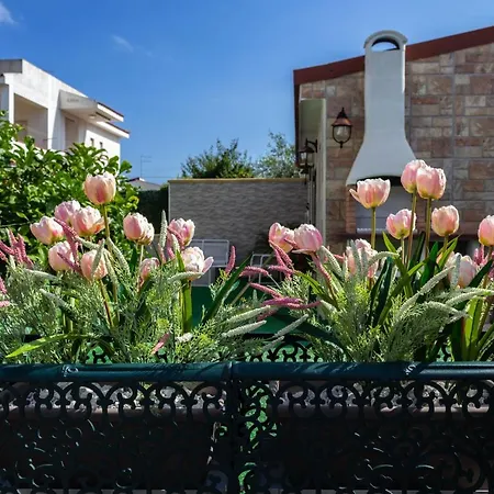 La Nuvoletta Holiday home Syracuse